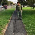 Opinion - Residents Urged to Report Cracked Pavements in Eastbourne and Wealden on Eastbourne Bournefree website