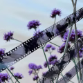 Devonshire Collective turns ten with the opening of Discover, Celebrate, Grow on Eastbourne Bournefree website