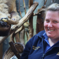 Drusillas Launches Prize Draw to Win a Once-in-a-Lifetime Sloth Experience While Helping Protect Wild Sloths on Eastbourne Bournefree website